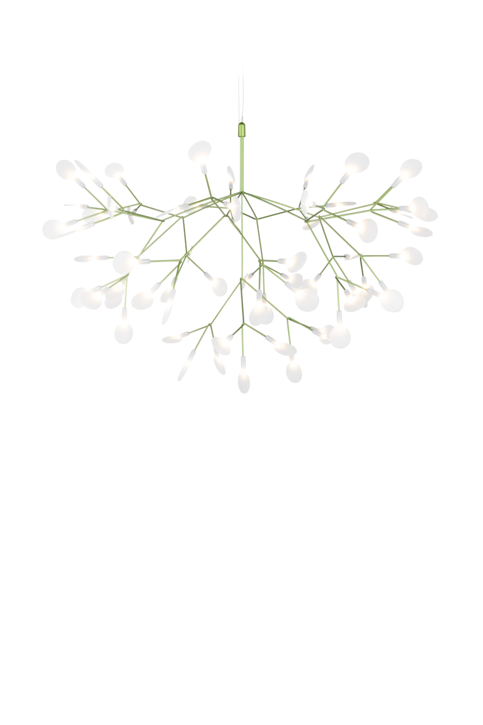 Front view Heracleum Suspended Green